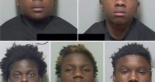 Florida Juveniles Caught After Stealing Two Cars and Fleeing Police